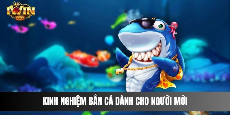 Kinh nghiệm bắn cá dành cho người mới